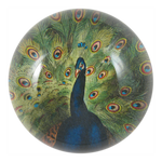 John Derian - Peacock Close-up Dome Paperweight