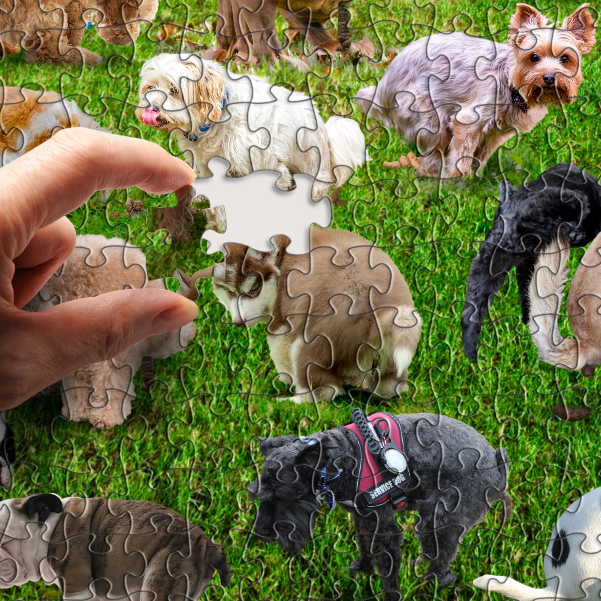 101 Pooping Puppies 1000 piece Puzzle