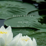 Linnea Candles - Rain Reed Diffuser Kit