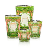Baobab Candle Collection - TOMORROWLAND