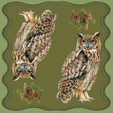Nicolette Mayer Square Owl Seeing Double Pine Acrylic Tray 15"X15"