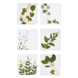 Summerill & Bishop-Herbarium 'Tisane' Herb Linen Napkins - Set of 6 Different