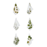 Summerill & Bishop-Herbarium 'Tisane' Herb Linen Napkins - Set of 6 Different