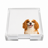 Nicolette Mayer Note Card Cavalier King Charles Spaniel Dog With Acrylic Holder
