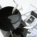 Slide image
