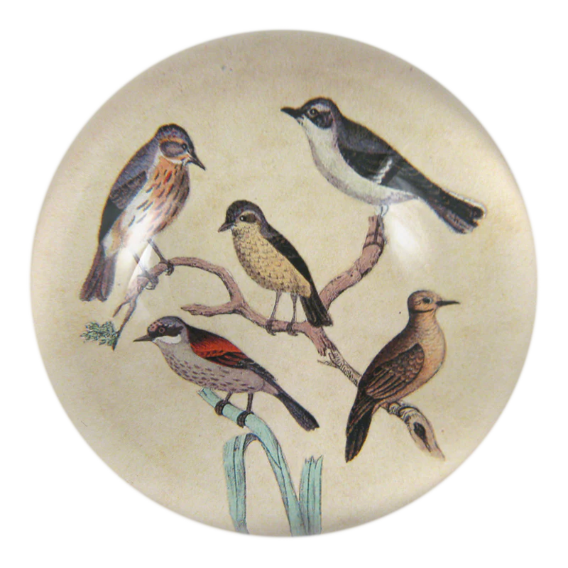 John Derian - Feathered Friends Dome Paperweight