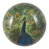John Derian - Peacock Close-up Dome Paperweight