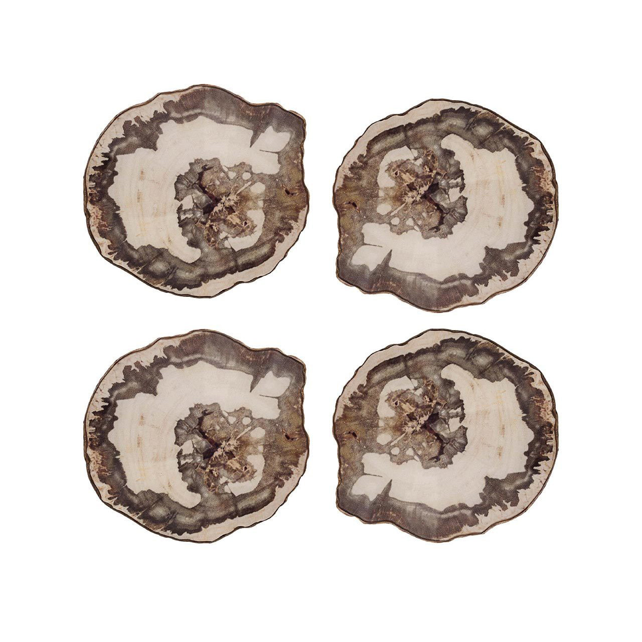 Petrified Wood Drink Coasters in Multi, Set of 4 in a Gift Box6-9198-47ec-aded-90a4029d7d63_1280x1138