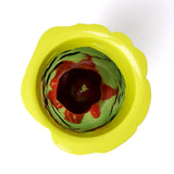 Corsi Design - Flower Vase - Fluo Yellow, Clear Bottle Green, Fuchsia