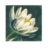 Summerill & Bishop-John Derian 'Water Lily Linen Napkin - Set of 2