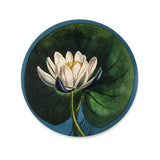 Summerill & Bishop-John Derian 'Water Lily' Round Placemat - Set of 2