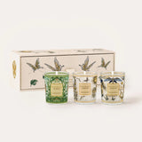 Baobab Candle Collection - TRIO TRAVEL TOMORROWLAND
