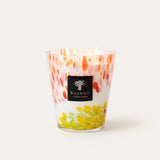 Baobab Candle Collection - Eden Garden