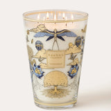 Baobab Candle Collection - TOMORROWLAND