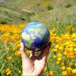 EARTH MOVA GLOBE