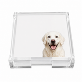 Nicolette Mayer Note Card White Lab Dog With Acrylic Holder