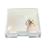Nicolette Mayer Note Card Poodle Dog With Acrylic Holder