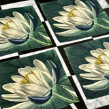 Summerill & Bishop-John Derian 'Water Lily Linen Napkin - Set of 2