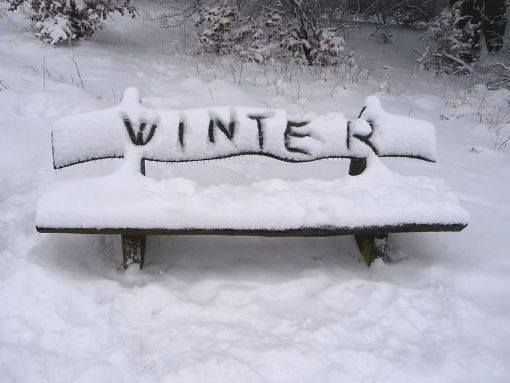 WINTER WRITTEN IN THE SNOW