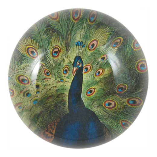John Derian - Peacock Close-up Dome Paperweight