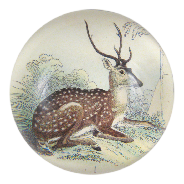 John Derian - Sitting Deer Dome Paperweight