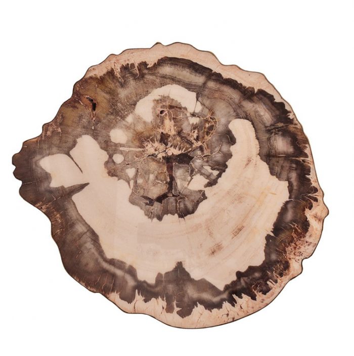 Petrified Wood Natural & Brown Placemat