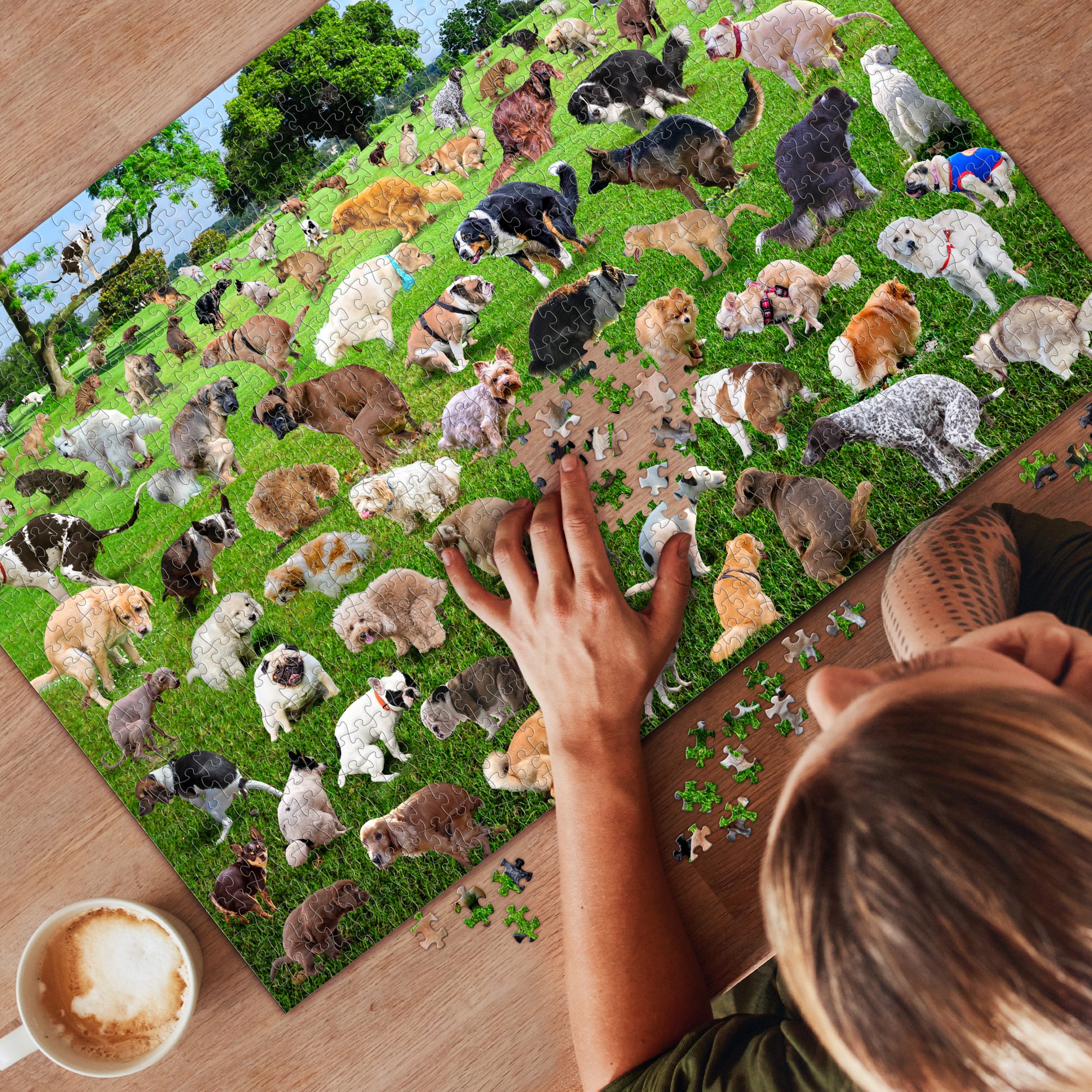 101 Pooping Puppies 1000 Piece Puzzle