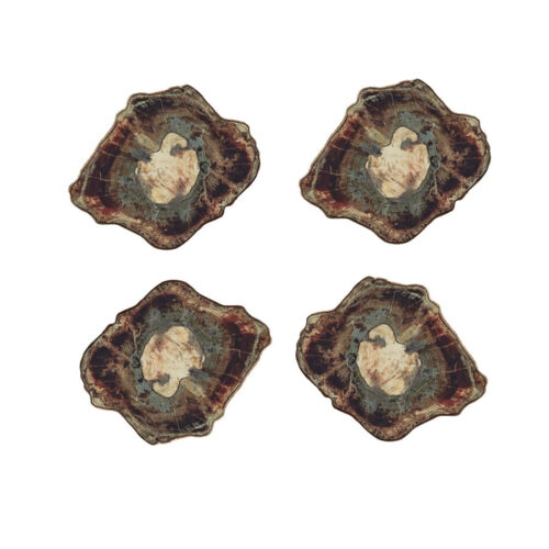Fossil Drink Coasters in Multi, Set of 4 in a Gift Box