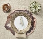 Petrified Wood Drink Coasters in Multi, Set of 4 in a Gift Box