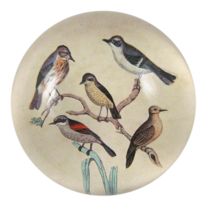 John Derian - Feathered Friends Dome Paperweight