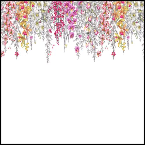 Nicolette Mayer Orchid Garden Original Note Cards With Acrylic Holder