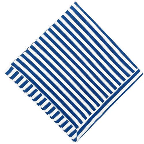 Tina Chen Designs - Bard Stripe Cobalt Blue Napkin - Set of 4